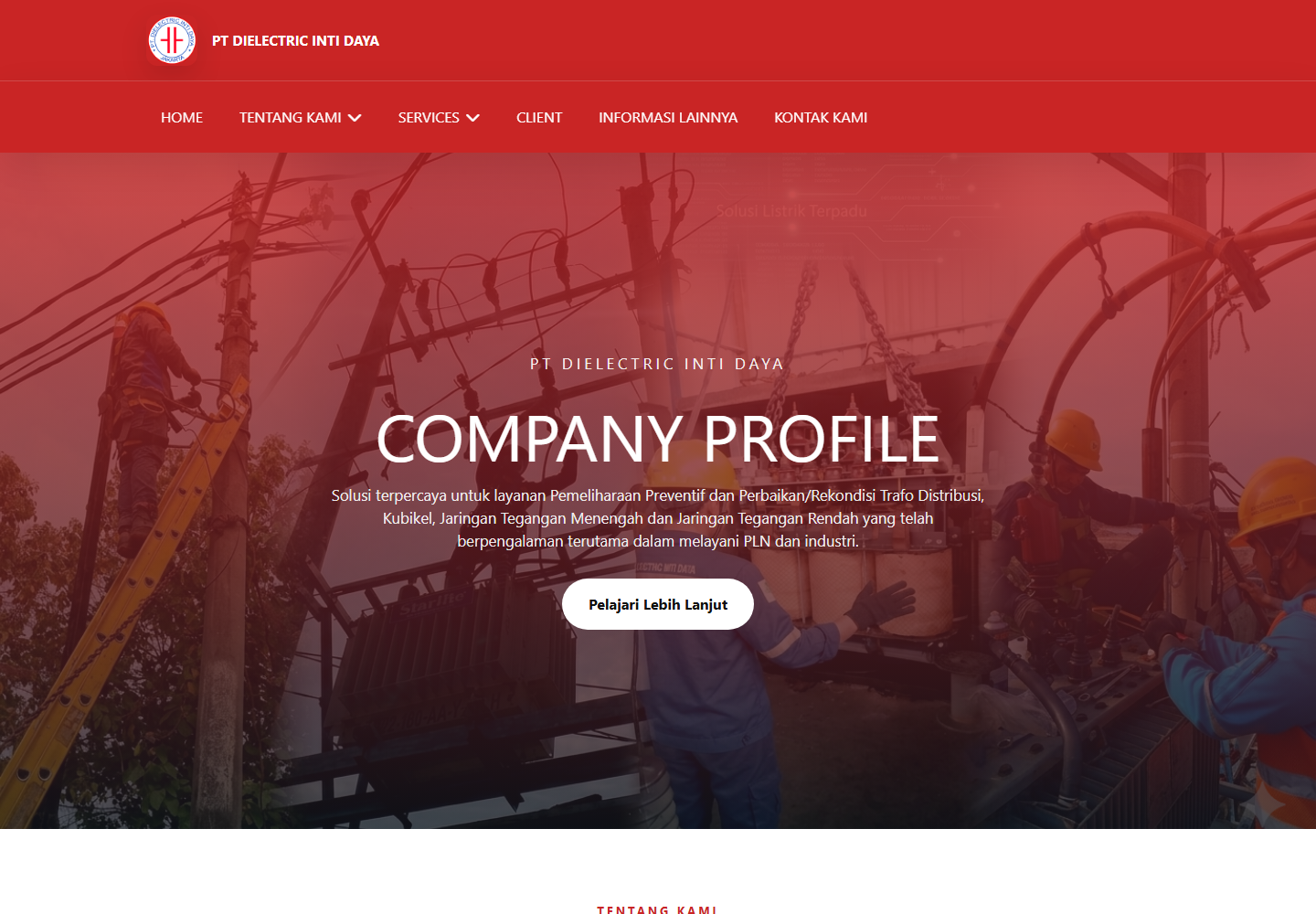 Intidaya Dielectric website screenshot